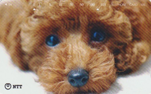 Rare japan ntt - /,