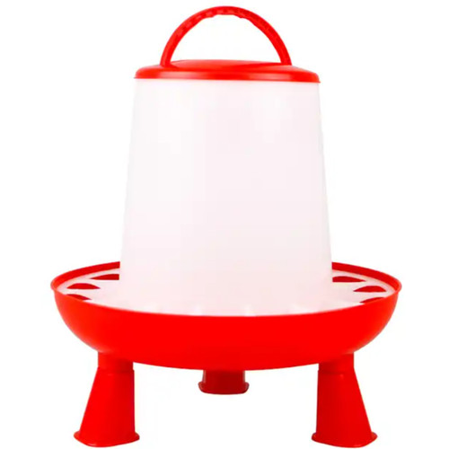 Chicken poultry bird feeder - poultry,
