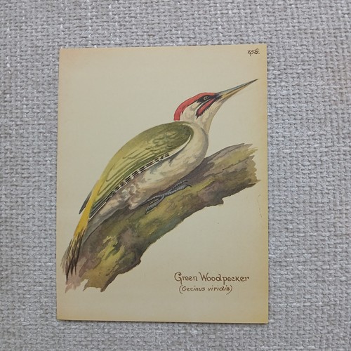 Vintage 1977 green woodpecker - vintage,
