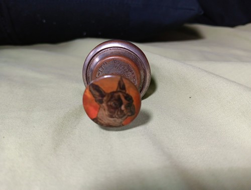 Antique boston terrier bottle - antique,