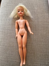 Vintage Pedigree Trendy Girl