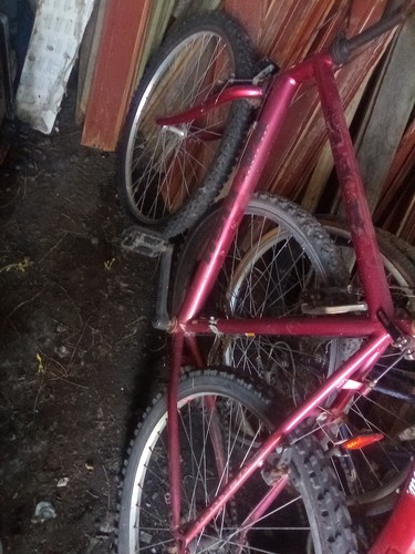 Mountain bike - mountain,