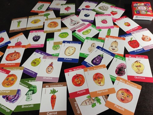 Fruit veg happy families - veg,