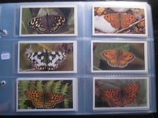 PLAYERS GRANDEE FULL SET IN