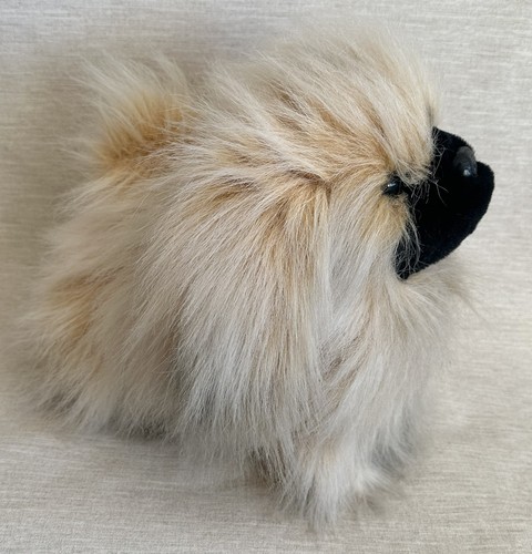 Keel pekingese dog soft - keel,