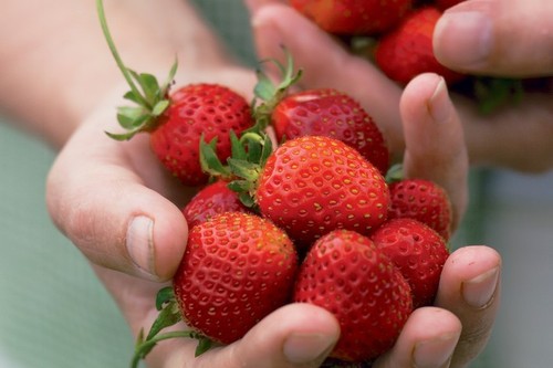 Large strawberry - 3x,