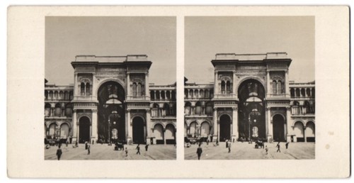 Stereo photograph lizars - stereo,