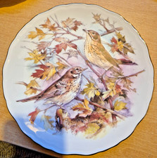 Royal Albert Collector Plate Garden Bird's NO 1 -THRUSH- 1989