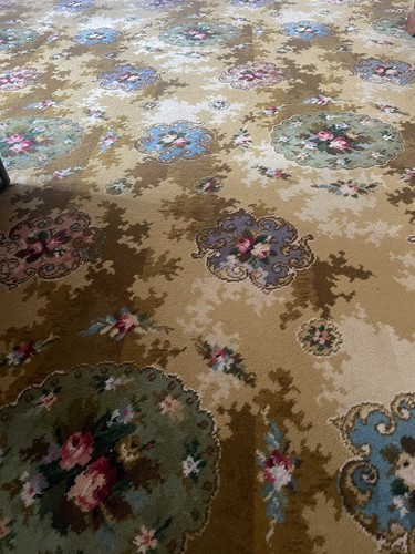 Axminster carpet used