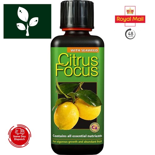 Growth technology citrus - citrus, focus