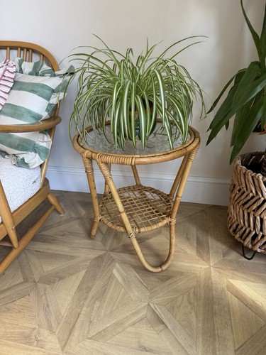 Vintage retro boho - tiki, cane