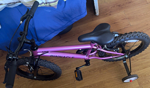 Riverside kids bike 20in - riverside,
