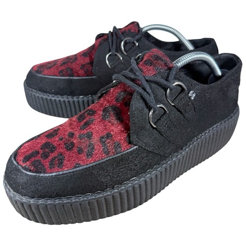 Red leopard creeper - leopard,
