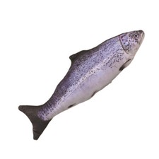 stuffed fish pillow Fish