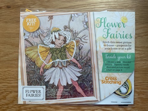 The scentless mayweed flower - the,