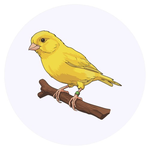 Beautiful yellow canary - 24, canary'