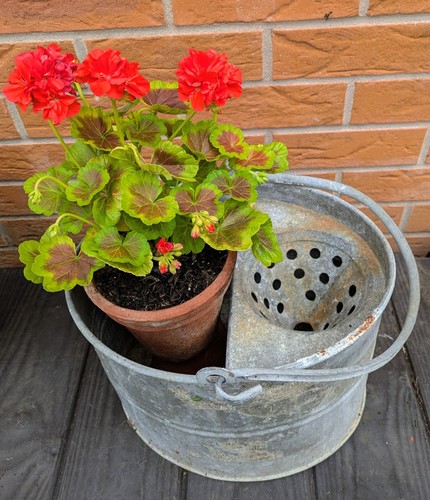 Vintage galvanized mop - vintage,