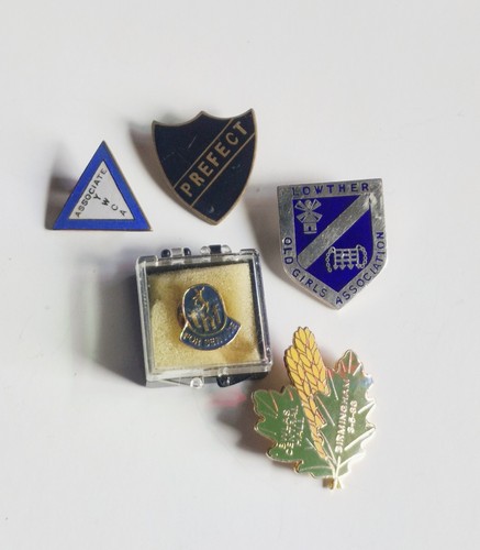 Vintage enamel badges - vintage, job