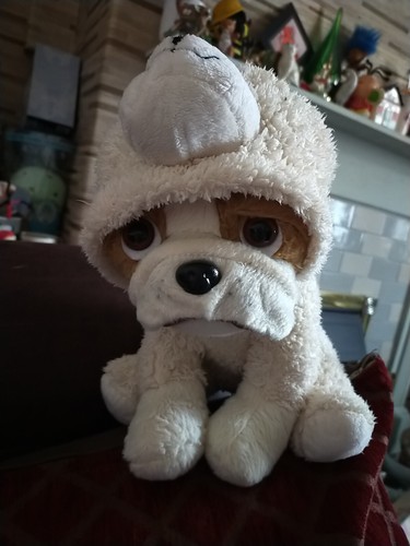 Plush bulldog sheep s - plush, in