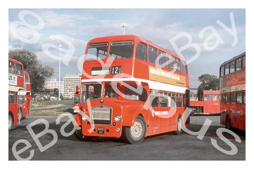 Bus photograph hants dorset - photograph,