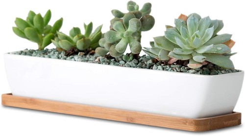 Inch rectangle white - 11,