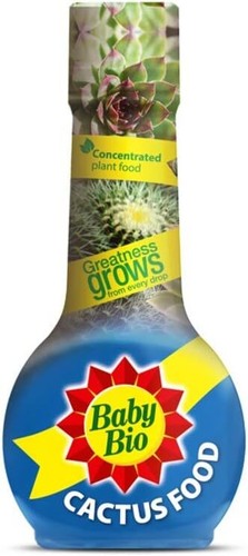 Baby bio cactus - baby,