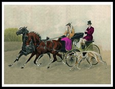 BORZOI HORSE AND CARRIAGE DOG