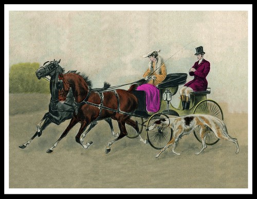 Borzoi horse and carriage dog - horse,