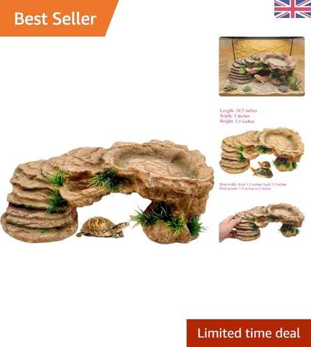Realistic rock design turtle - realistic,