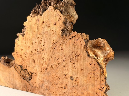 Amazing burr elm - amazing, resin