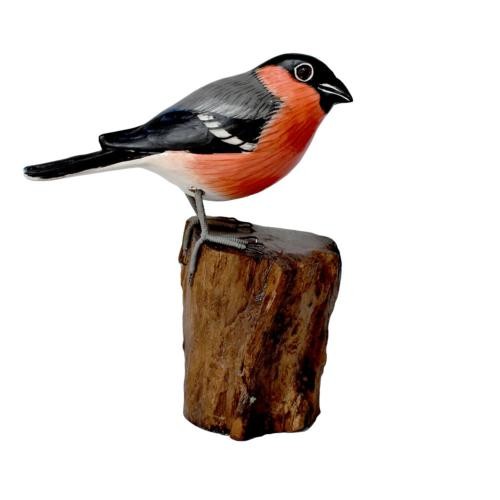 Bullfinch tree trunk hand - on, trunk,