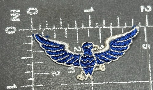 Blue white bird - t-bird, thunderbird