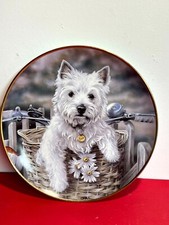 Westies Hitching Aride White Procelain Plates