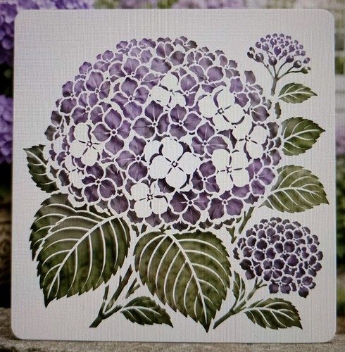 Large hydrangea flower - hydrangea,