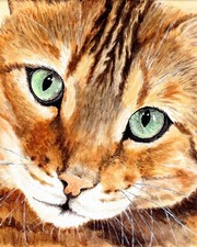 ACEO 2.5" X 3.5" 'BENGAL CAT'
