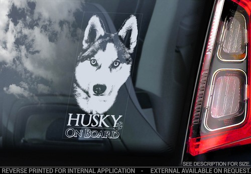 Husky car window sticker - husky,