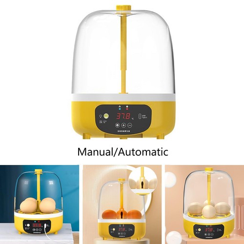 Eggs incubator brooder - incubator,