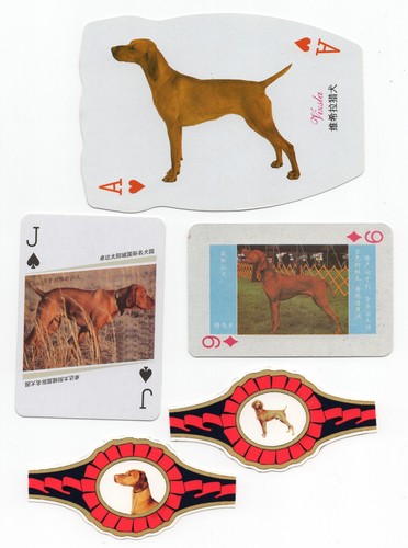 Hungarian vizsla vintage dog - vizsla,