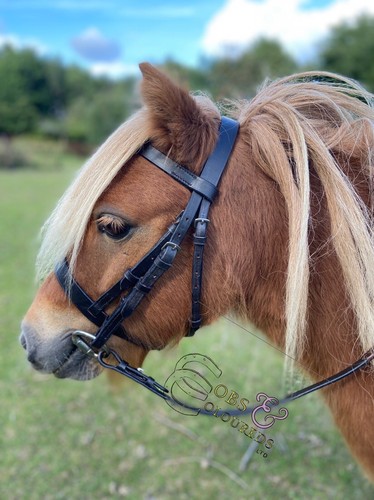 Mini shetland hunter - mini,