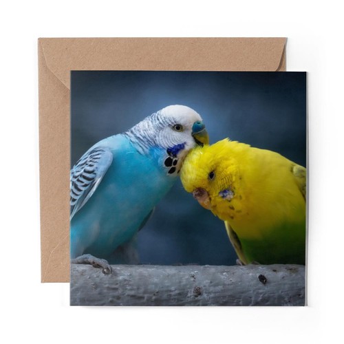 Blank greeting card cute - card,