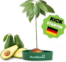 AvoSeedo Grow Your Own Avocado