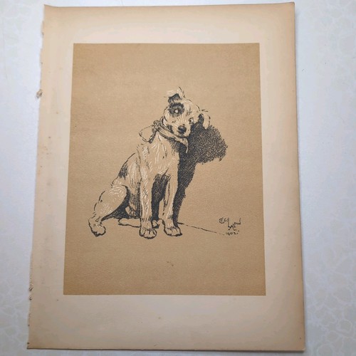 Original 1904 antique dog - original,