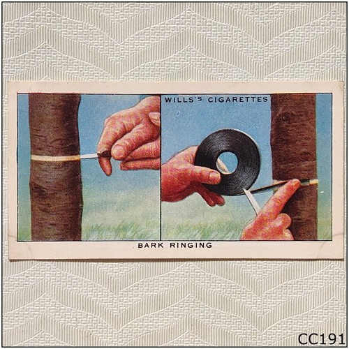 Wills garden hints 1938 38 - hints,