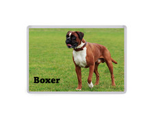 Boxer - Dog Large Fridge