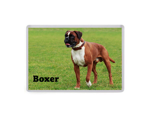 Boxer dog jumbo fridge - boxer,