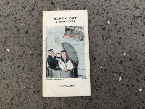 Carrera black cat cigarette - cat,