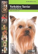 Yorkshire Terrier (Dog Breed
