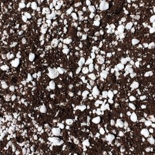 Carnivorous Plant Compost Soil Mix 1 Litre Houseplant Repotting Venus Fly Trap