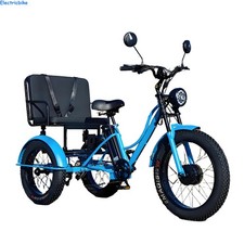 24" Electric Trike 48V 18Ah