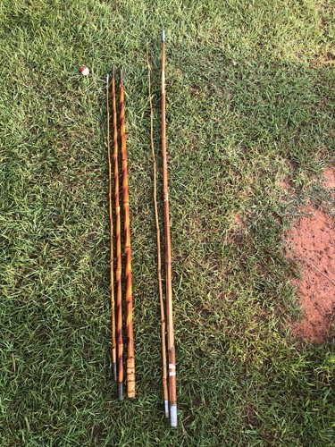 Bamboo cane fishing - bamboo, 11'